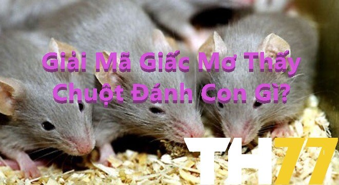 Nam mo thay chuot thi danh so may Giai ma giac mo ve chuot07