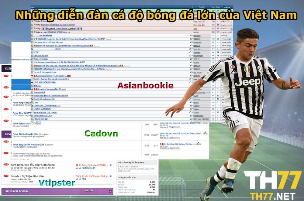 Những diễn đàn cá độ bóng đá lớn của Việt Nam 2 Những diễn đàn cá độ bóng đá lớn của Việt Nam
