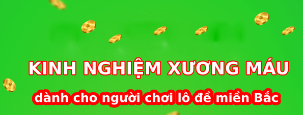 Kinh nghiệm soi xổ số miền bắc dành cho người mới