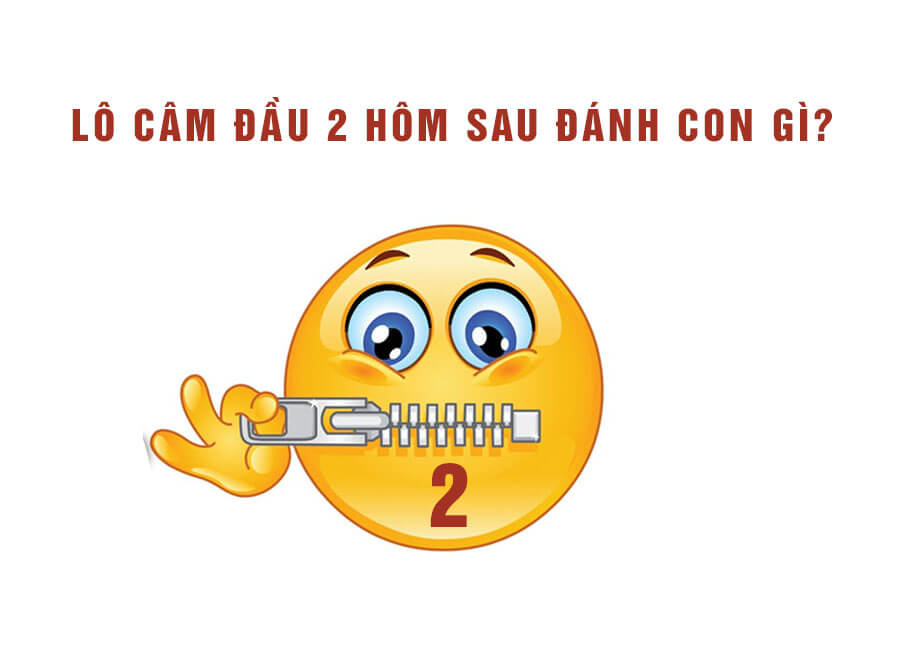 dau-2-cam-danh-con-gi