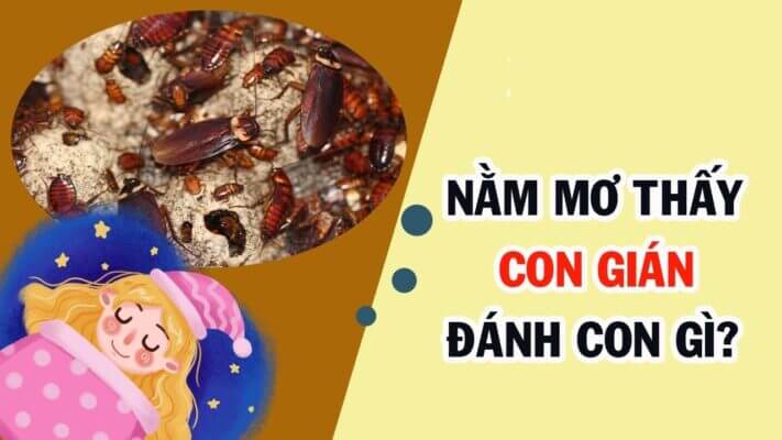 Con gián số mấy? Đánh thế nào cho chuẩn? Điềm lành hay gở?