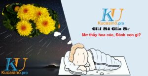 Mơ thấy hoa cúc đánh con gì trúng lớn?