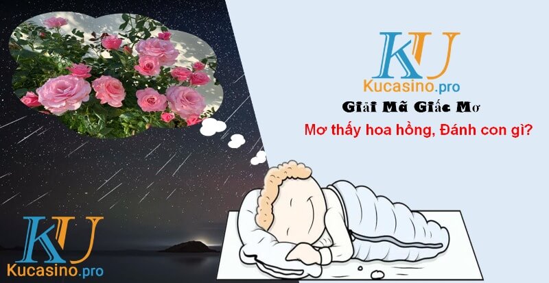 Mơ thấy hoa hồng đánh con gì trúng lớn?