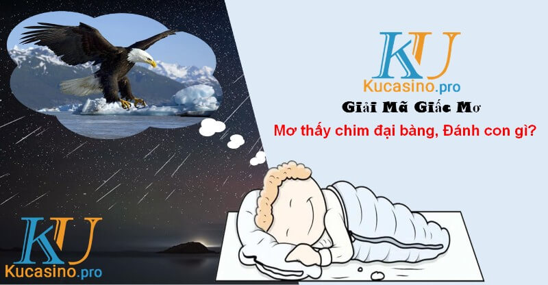 Mơ thấy chim đại bàng đánh con gì trúng lớn?