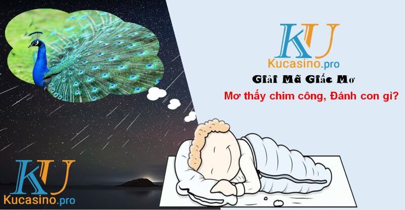 Mơ thấy chim công đánh con gì trúng lớn? 2 Mơ thấy chim công đánh con gì trúng lớn?