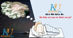 Mơ thấy cúc họa mi đánh con gì trúng lớn?