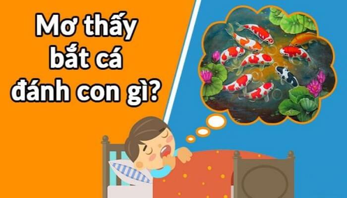Nằm Mơ Thấy Con Cá Đánh Con Gì Trúng Lớn 2 Ý nghĩa của giấc mơ thấy con cá