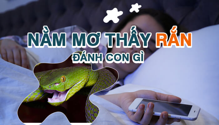 Nằm Mơ Thấy Rắn Đánh Con Gì Trúng Lớn 3 Nằm mơ thấy rắn đánh con gì để trúng lớn