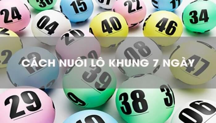 Các cách nuôi lô khung 7 ngày hiệu quả