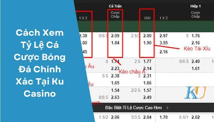 Cách Xem Tỷ Lệ Cá Cược Bóng Đá Chính Xác Tại Ku Casino