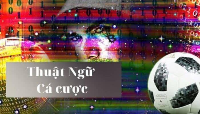Tất Cả Về Cá Độ Đá Bóng Và Cách Cá Độ Bóng Đá Luôn Thắng 2 Hướng dẫn chơi cá độ bóng đá