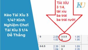 Kèo Tài Xỉu 3 14 Kinh Nghiệm Chơi Tài Xỉu 3 14 Dễ Thắng