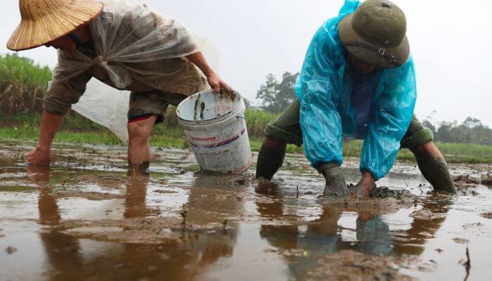 Giải mã giấc mơ thấy bùn đất, sình lầy báo điềm lành hay dữ