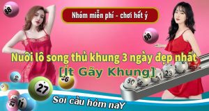 Nuôi lô song thủ khung 3 ngày đẹp nhất [ít Gãy Khung]